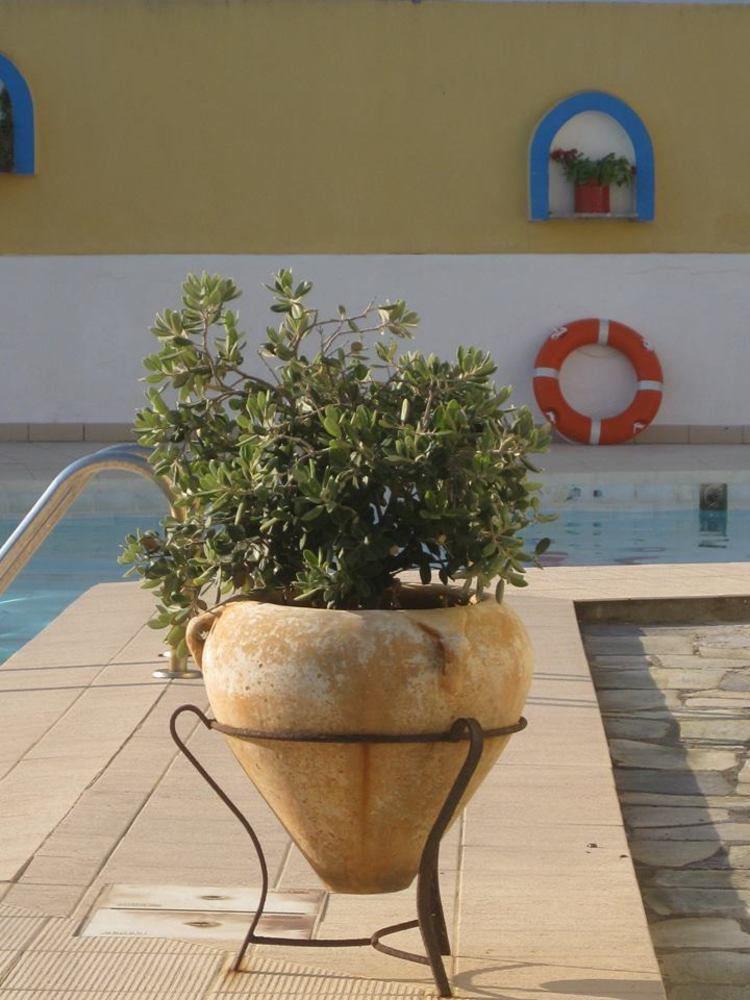 Porfyris Hotel Mandraki  Exterior photo
